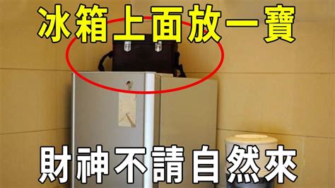 冰箱上面可以放什麼東西|財庫禁忌要注意！冰箱上不堆雜物、可放聚寶盆 